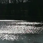 Haus Lupo Am Kanal Appartement