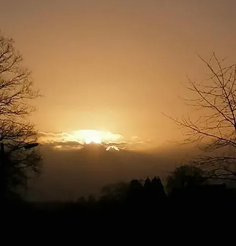 Haus Lupo Am Kanal 公寓 卡斯特罗普-劳克塞尔