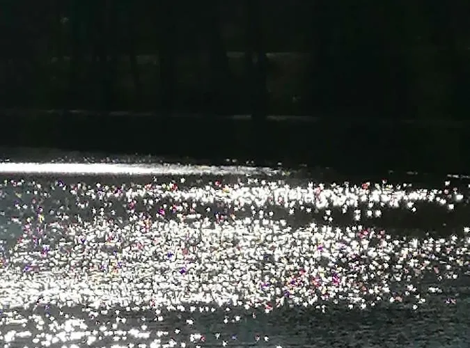 Haus Lupo Am Kanal شقة